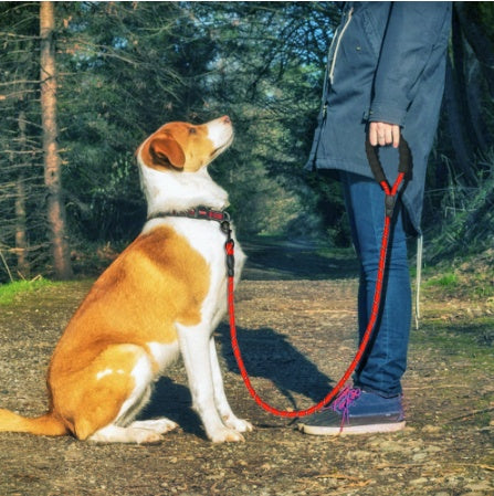 Reflective Nylon Dog Leash - Heavy-Duty Pet Leash Rope for Safety